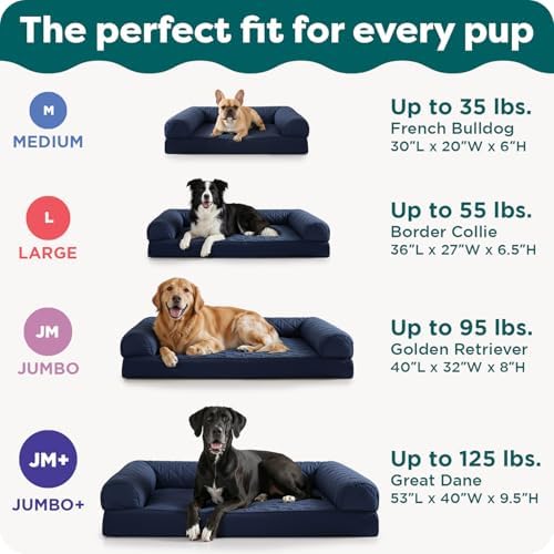 FurHaven Classic Soft Sofa Orthopedic Dog Bed for Medium Dogs, with Egg Crate with a Solid Orthopedic Foam Base for Joint Support, Removable Washable Cover, Medium, Faux Fur & Velvet, Dark Sage - Image 6