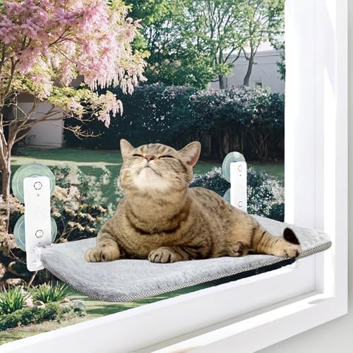 Cat Window Perch, Cordless Foldable Cat Hammock for Indoor Cats with Upgraded Suction Cups Strong Metal Frame Holds Up to 44lbs (M 1PC) by PWMENLK