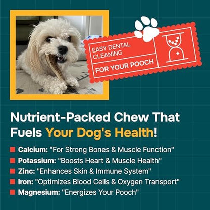 100% Natural - Antlers for Dogs - Naturally Shed in USA - Grade A Long Lasting Chew for Aggressive Chewers - Elk Antlers Dog Antler Chews - Real, Healthy Treats & Toys - No Odor & No Mess - Small - Image 3