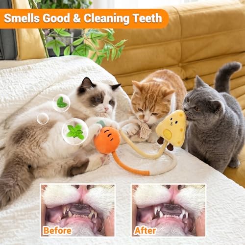 Kingtree Cat Chew Rope Toys, 2PCS Cotton Chew Ropes for Cats Teeth Cleaning - Image 5