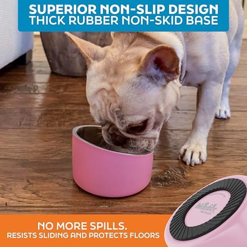 Master Pet Supply Stainless Steel Slanted Dog Cat Food Bowl 8 oz Rose - Image 5