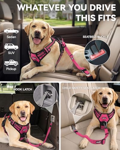 Joytale 3-in-1 Bungee Dog Seat Belt for Car, Medium and Large Dogs, Hotpink - Image 2