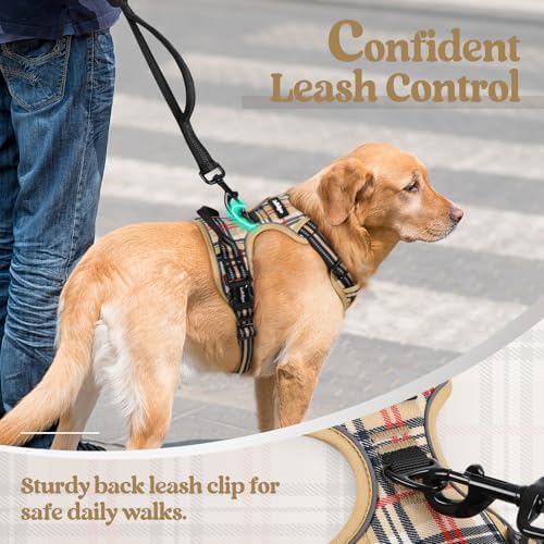 rabbitgoo Dog Harness, No Pull for Large Dogs with 2 Leash Clips, Pet Vest - Image 6