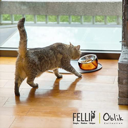 Felli Pet Oblik Whisker Fatigue Cat Food Bowl Raised Stainless Steel Shallow Dish, Pet Design Anti Vomit Tilted Metal Plate Feeder Elevated Acrylic Base for Treats Storage(Gold, 0.5 Cups Shallow Dish) - Image 5