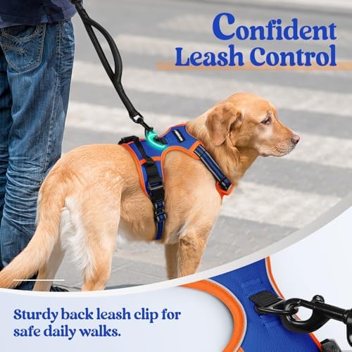 rabbitgoo Dog Harness, No Pull for Large Dogs with 2 Leash Clips, Pet Vest - Image 6