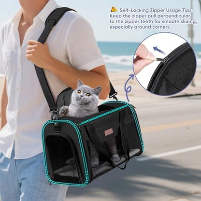BALEINE Cat Carrier, Puppy Dog Carrier for Small Medium Pets Up to 15 Lbs, Soft-Sided Dog Travel Bag with Safety Zippers, Collapsible Pet Carrying Case (Black, L, 17"x11"x11") - Image 3