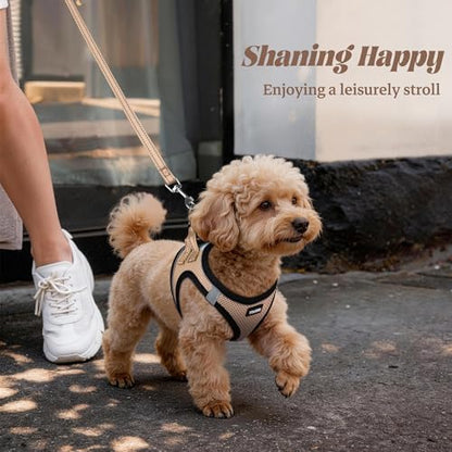 No Pull Dog Puppy Harness and Leash Set Reflective Mesh Vest X-Small - Image 6