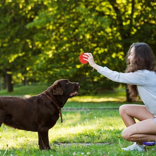 3.5” Squeaky Dog Toy Balls (6 Colors) Dog Toys Spikey Dogs Ball for Aggressive Chewers Heavy Duty Teething Large Medium Durable Dogs Balls - Image 4