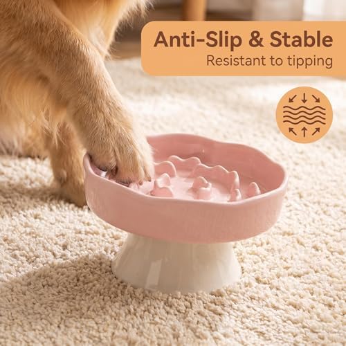 Vexilion pet Raised Slow Feeder cat Food Ceramic Bowl for Small Dogs for Dry and Wet Food (Pink) - Image 3