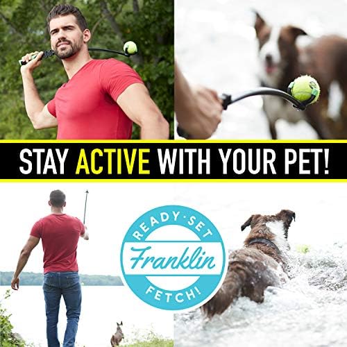 Franklin Sports Ready Set Fetch Squeaker Tennis Ball Dog Toy - 3 Pack - Image 5