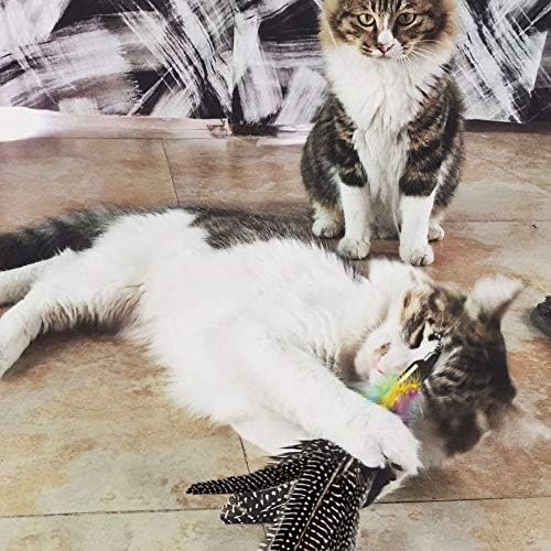 Handmade Natural Feather Cat Toy Dah Bird Refills - Interactive Cat and Kitten Toy - 6 Pack - Image 4