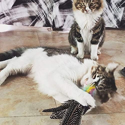 Handmade Natural Feather Cat Toy Dah Bird Refills - Interactive Cat and Kitten Toy - 6 Pack - Image 4