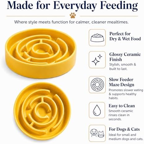 Ceramic Slow Feeder Dog Bowl, 1.5 Cup Puzzle Dish for Small Medium Dogs - Image 7