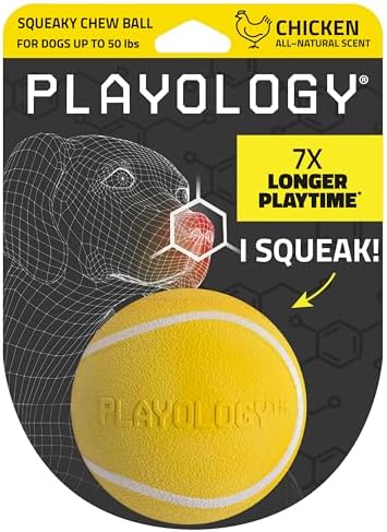 Playology Squeaky Chew Ball Dog Toy - Medium, Chicken Scent by Playology