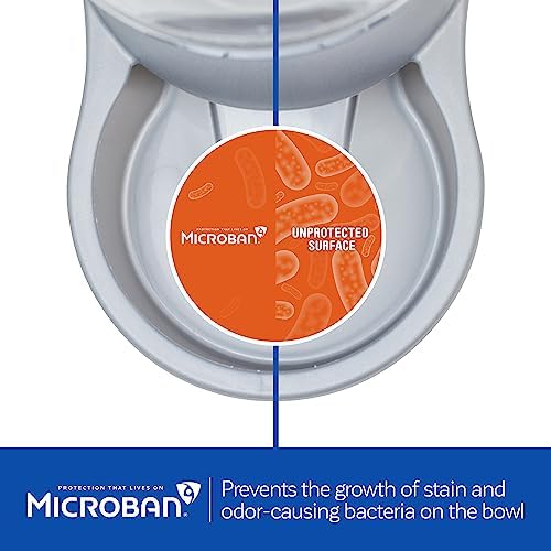 Petmate Replendish Automatic Cat and Dog Feeder, 2lbs, Grey - Image 3