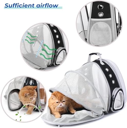 Lollimeow Bubble Expandable Cat Backpack for Puppies and Small Pets with Mini Fan - Image 6