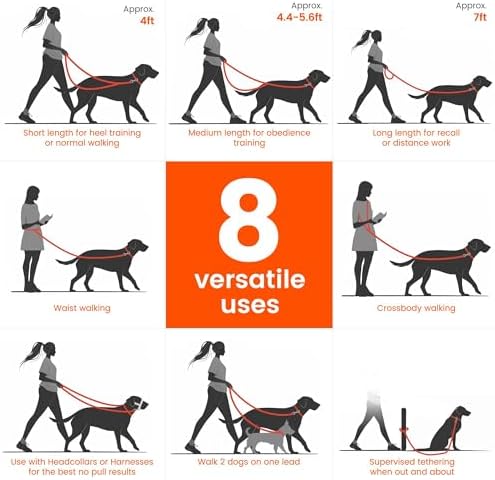 HOWGO Multifunctional Adjustable Hands Free Leash (Green, Standard) - Image 3
