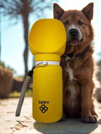 Sippy Cup Portable Foldable Pet Water Bottle – Compact Collapsible Dog & Cat Travel Cup – Food-Grade Silicone & PP, BPA-Free – Leak-Proof for Walking, Travel & Outdoor Use (Sea Blue)
