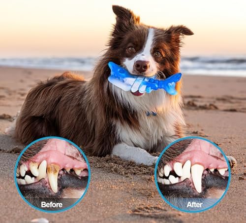 PETSTA Dog Chew Toys for Aggressive Chewers, Durable Toys for Large Dogs, Heavy Duty Indestructible Large Dog Toys, Tough Dog Toys for Medium/Large Dogs Breed - Image 4