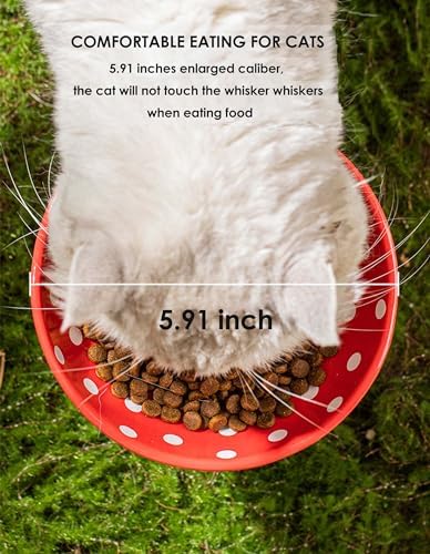 Raised Cat Bowl, Cute Mushroom Pet Feeder, Elevated Small Dog Food Bowl, Ceramic Pet Bowls for Food and Water, Wide Shallow Cat Dish, Whisker Fatigue (Black) - Image 4