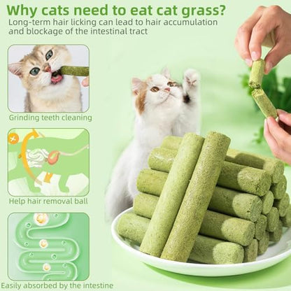 Cat Natural Grass Teething Sticks, Kitten Chew Stick for Hairball Removal - Image 5