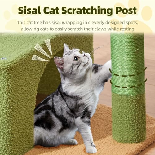 Taoqimiao 32.2in Cat Tree with Toy, Small Cat Tower for Indoor Cats, MS043T - Image 5