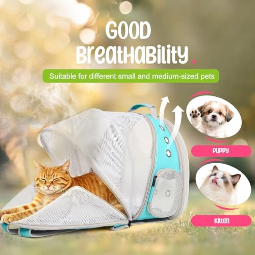 Dual Expandable Large Cat Backpack Carrier - Image 4