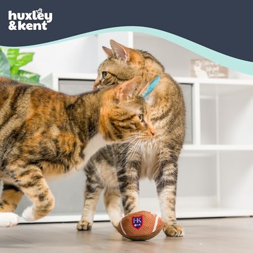 Huxley & Kent Power Plush Squeaky Dog Toy, HK Football - Image 3