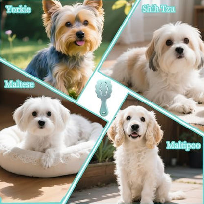 Cloud-Shaped Soft Bristle Small Dog Brush, Puppy Essentials (Sky Blue) - Image 4