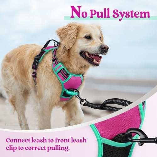 rabbitgoo Dog Harness, No Pull Medium Sized with 2 Leash Clips, Pet Vest - Image 5