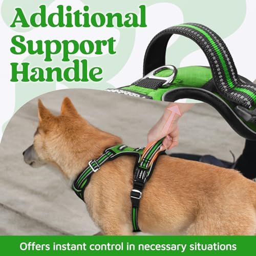 rabbitgoo Dog Harness Medium Sized, No Pull 3 Buckles Easy On & Off - Image 4