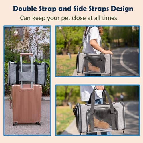 Top tasta Dog Cat Carrier Pet Carriers for Large Cats Small Dogs Carrier Soft Sided Puppy up to 25Lbs Dog Carrier Portable Foldable Dog Cat Travel Carrier (Large-Grey& Black -20 * 13 * 13) - Image 4