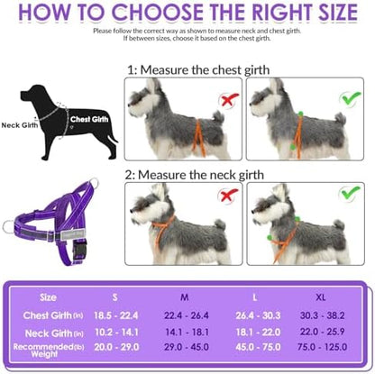 SlowTon No Pull Dog Harness and Leash Set - Heavy Duty, Soft Padded - Image 6