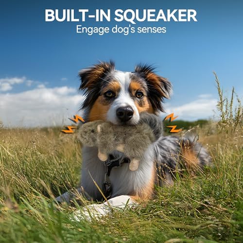 ALL FOR PAWS Interactive Dog Squirrel Plush Squeaky Toy - Perfect Puppy Enrichment Toy, Large - Image 2