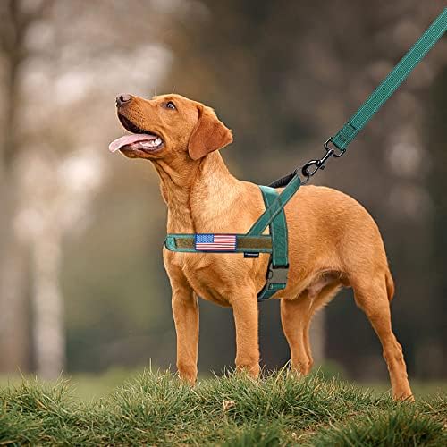 Annchwool No Pull Dog Harness with Soft Padded Handle,Reflective Strip Escape Proof and Quick Fit to Adjust Dog Harness,Easy for Training Walking for Small & Medium and Large Dogs(Green,S) - Image 6