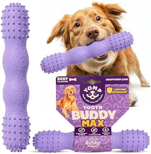 Yomp ToothBuddy MAX Dog Dental Chew Toy – Teething and Chewing Toy for Soft and Medium Chewers – Pet-Safe, Non-Toxic, All-Natural Rubber Dog Bone Toy by Yomp