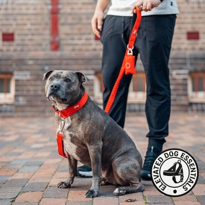 Dog Friendly Co. Poop Bag Holder for Leash, Dog Waste Bag (Sky Blue) - Image 4