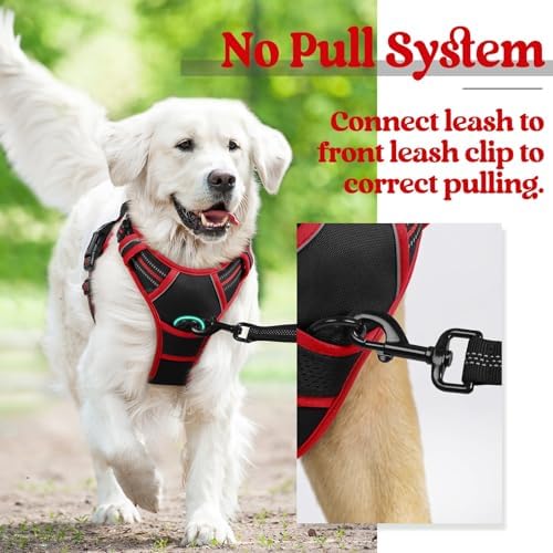 rabbitgoo Dog Harness, No Pull for Large Dogs with 2 Leash Clips, Pet Vest - Image 6