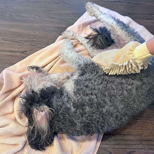 SPOT Clean Paws Chenille Microfiber Dog Towel Mitt - Super Absorbent, Quick-Drying, Washable, Double-Sided Glove for Wet Paws & Body, Durable, Odor-Free, Gently Massages & Dries, 9.5in x 7in - Image 6
