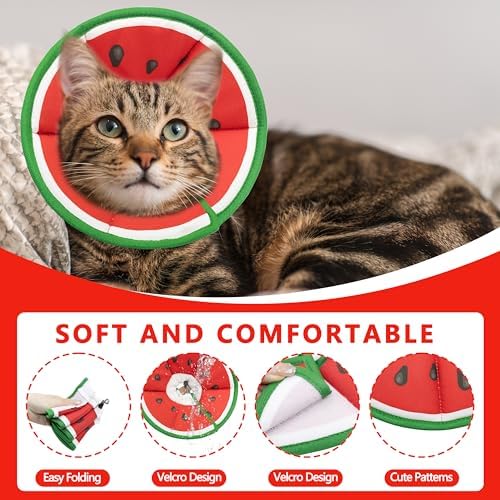 Soft Adjustable Cat Cone Collar, Comfortable Cat Recovery Collar - Image 3