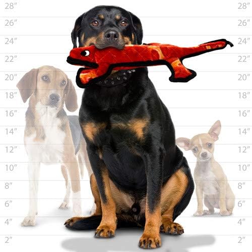 TUFFY - World's Tuffest Soft Dog Toy - Desert - Multiple Layers. Made Durable, Strong & Tough. Interactive Play (Tug, Toss & Fetch). Machine Washable & Floats (Lizard, Large 2 Pack)
