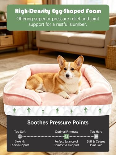 Spotted Play Orthopedic Dog Bed with Sides - Sofa Beds for Medium Dogs, Supportive Foam Pet Couch Bed with Washable Removable Cover, Waterproof Lining and Non-Slip Bottom, Pink - M - Image 4
