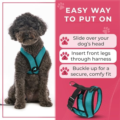 Gooby Comfort X Head-in Dog Harness, Choke-Free, Turquoise, Large - Image 6