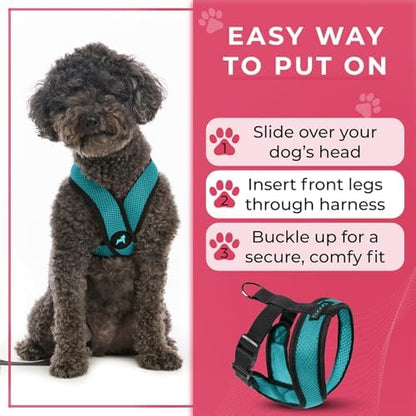 Gooby Comfort X Head-in Dog Harness, Choke-Free, Turquoise, Large - Image 6
