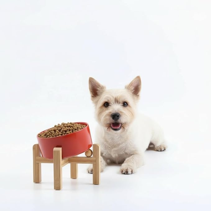 Petygooing Raised/Elevated 15°Slanted Ceramic Dog Bowl for Small Breeds,Tilted Anti Slip Pet Feeding Bowl,Food Water Dish with Stand for Cats and Small Dogs Puppy 13.5 OZ (5.1In / 1.7 Cups) Rust Red