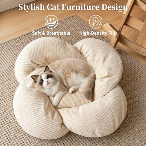 PACHIRA Elevated Cat Bed Wooden, Cat Couch Fluffy, Cat Sofa Flower for Indoor Cats, Raised Cat Bed with Washable Fluffy Cushion and Birch Wood, Cat Chair for Kitty and Puppy, Cat Furniture (White) - Image 2