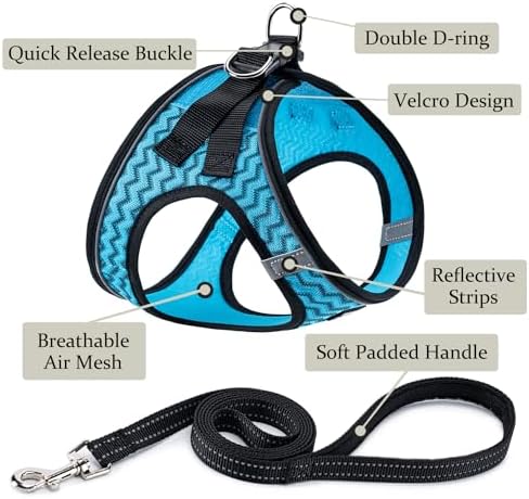 Dog Harness with Leash Set,Step-in Adjustable Puppy Pet Vest,Blue Stripe XL - Image 2