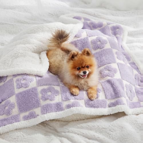 LE SURE Waterproof Dog Blankets for Small Dogs Cute Cozy 3D Jacquard,25x35 - Image 2