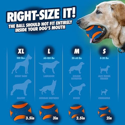 Chuckit! Ultra Squeaker Dog Ball, Fetch Toy, Medium, 1 Pack - Image 7