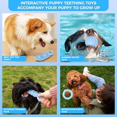 Puppy Toys, 9 Pack Dog Chew Toys for Puppy, Cute Blue Small Dog Toys, Teething Toys for Puppies, Soft Durable Interactive Chew Toy for Small Dogs - Image 6
